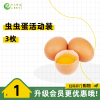 虫虫蛋三枚