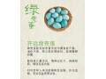 虫虫蛋