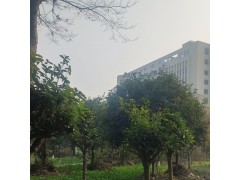 休闲庄土地