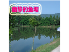 清水塘围炉煮茶