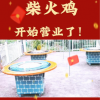 农场柴火鸡