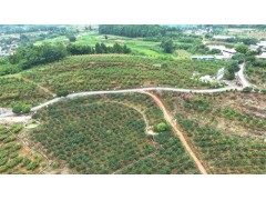 东美农场园区土地